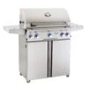 American Outdoor Grill 30 Inch Gas Grill On Cart -Weber Store 30pcl l series port a 03 20