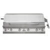 Solaire AGBQ-56 56-Inch Built-In All Grill With Dual Rotisserie -Weber Store agbq56t bi a 02 20