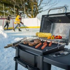 Broil King 950654 Porta-Chef 120 Portable Grill, 18-Inches, Propane -Weber Store bk porta chef120 ls d 06 20