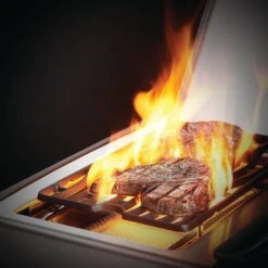 Napoleon RSE425RSIBSS Rogue SE 425 Gas Grill On Cart With Infrared Side And Rear Burners, 23.75-Inches -Weber Store rse625rsibpss feat d 07 20