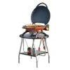 Napoleon TQ2225PO-STAND TravelQ Portable Gas Tabletop Grill With Base, Propane -Weber Store tq2225po tq2225 stand a 08 21