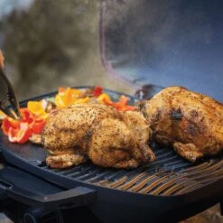 Napoleon TQ285-BL-1 TravelQ Portable Tabletop Gas Grill, Propane -Weber Store tq285 lifestyle b roll camping chicken with tongs 1