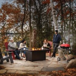Napoleon TQ285X-BL-1 TravelQ 285 Portable Grill With Scissor Cart, Propane -Weber Store tq285x muskoka lifestyle main people sitting 1
