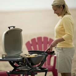 Weber Q2200 Portable Propane Gas Grill With Side Tables (WEB-54060001) -Weber Store web 54060001 ls a 05 22