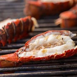 Weber Summit 4-Burner Built-In Gas Grill With Rotisserie, Sear Station And Access Doors (WEB-S-460) -Weber Store web s 460 feat d 05 22